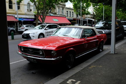 DSCF0919.JPG